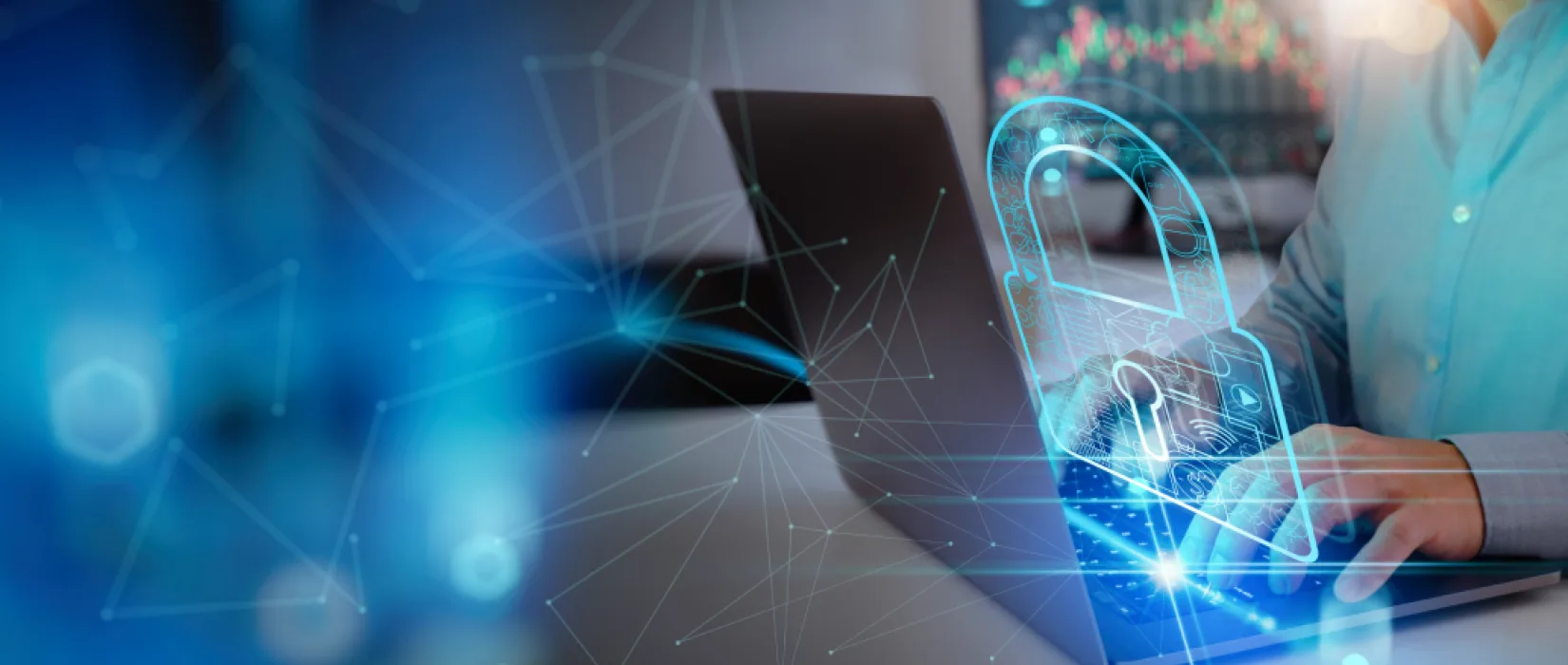 Web security banner
