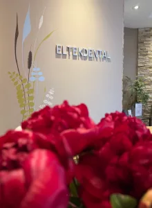 Website Design for Eltek Dental