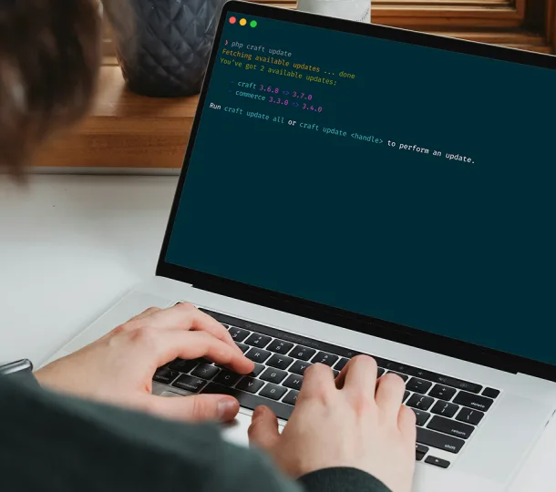 How we handle Craft CMS upgrades