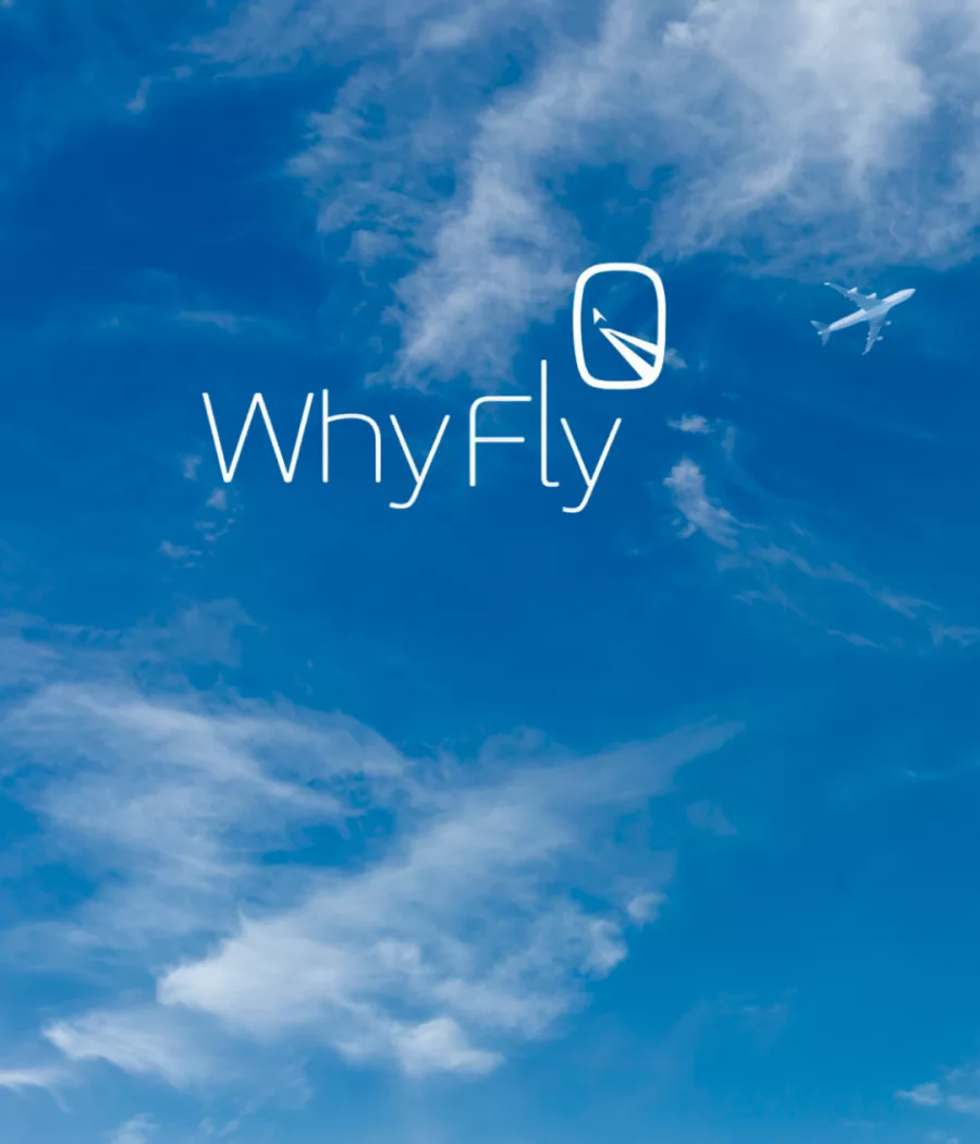 Brand Identity Design for WhyFly