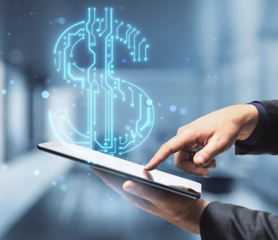 Online Payment Processing