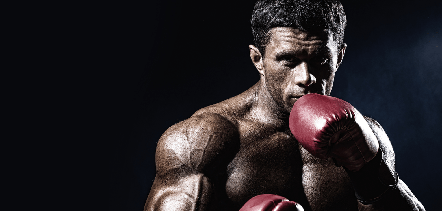 Website for Siberia Boxing Club | Convergine Corp.