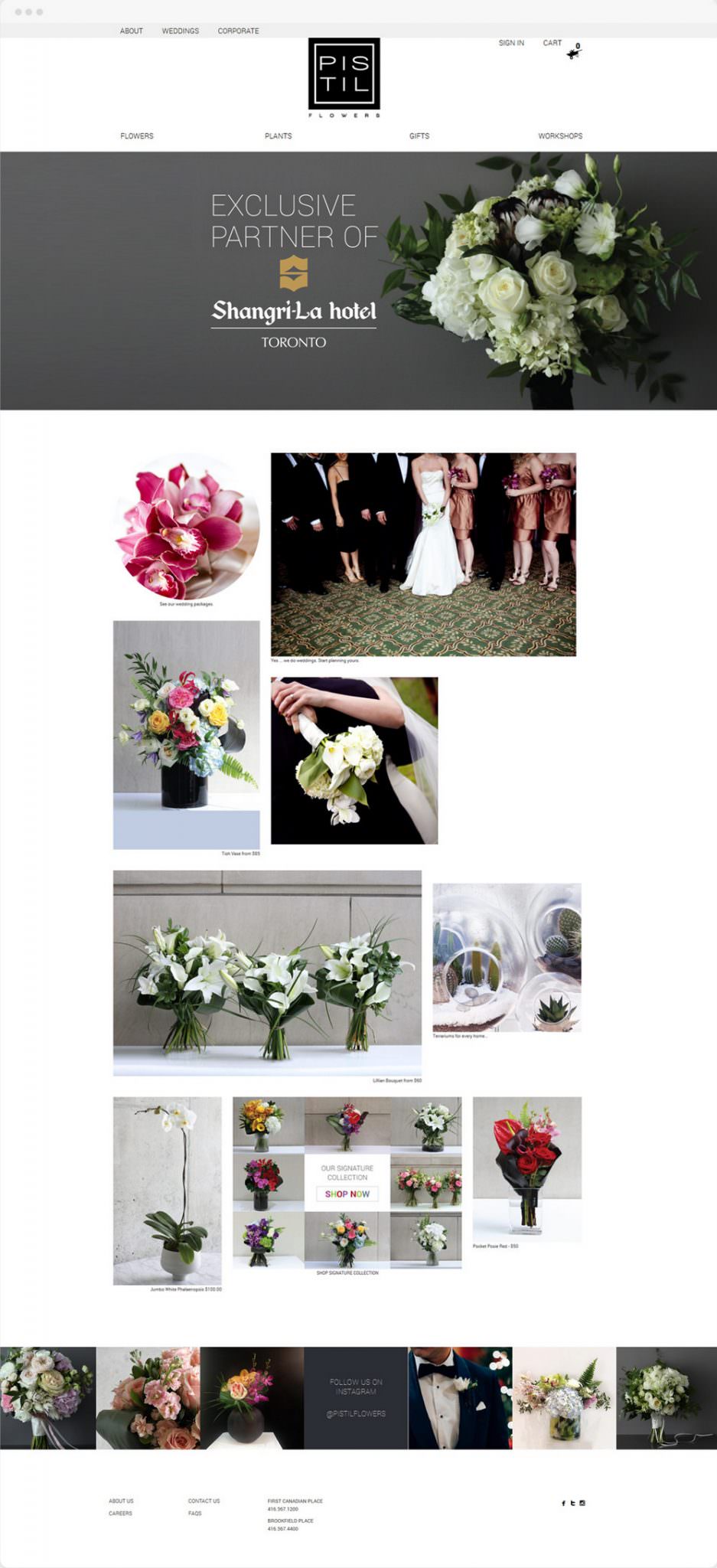 pistilflowers_website_slide_01