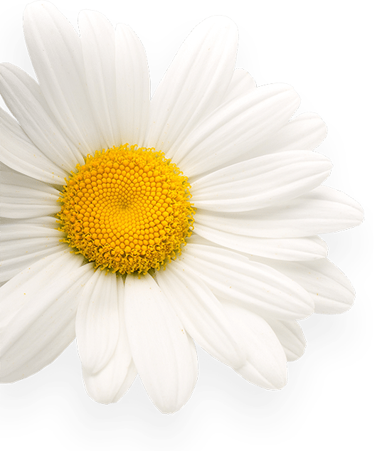 NanaEssence_portfolio_flower