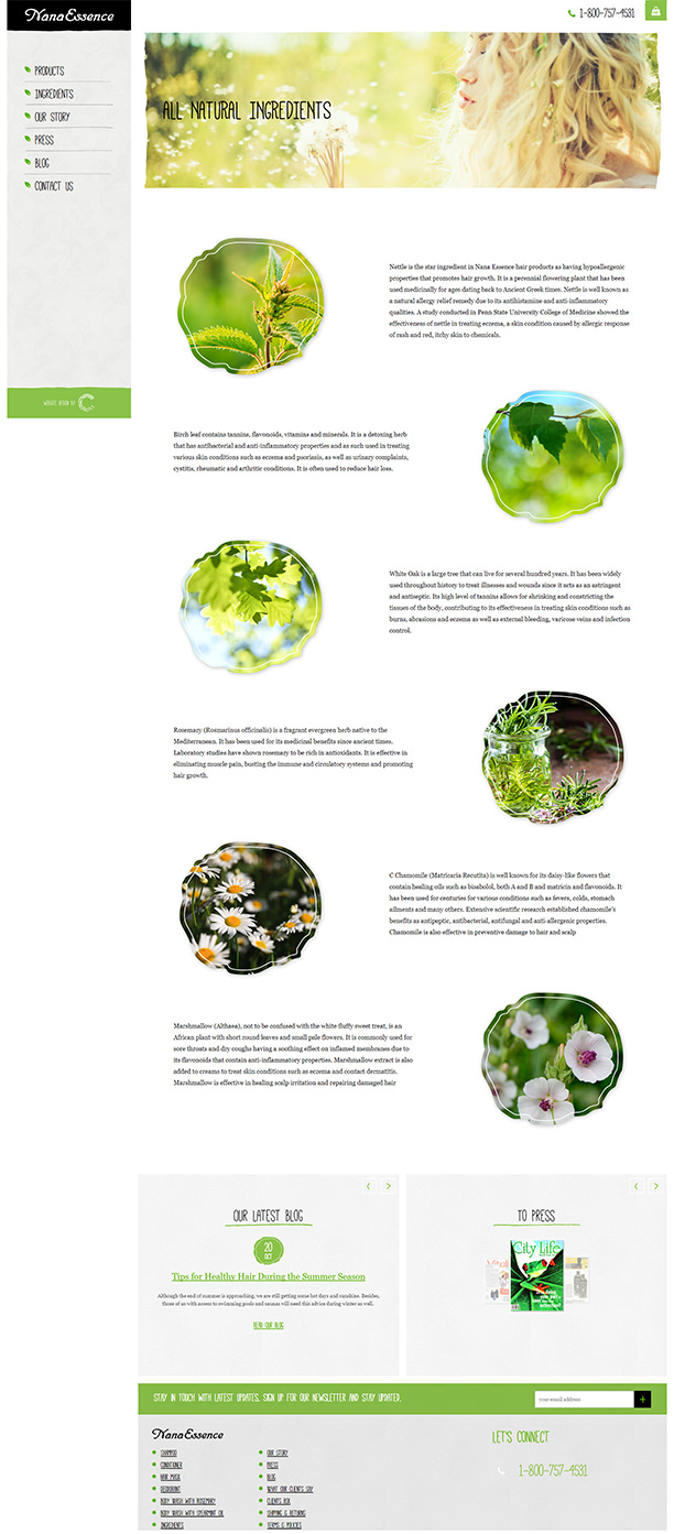 NanaEssence_portfolio_slide_08