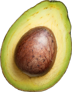 oleumm8_avocado_01