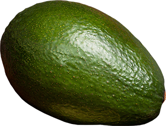 oleumm8_avocado_03